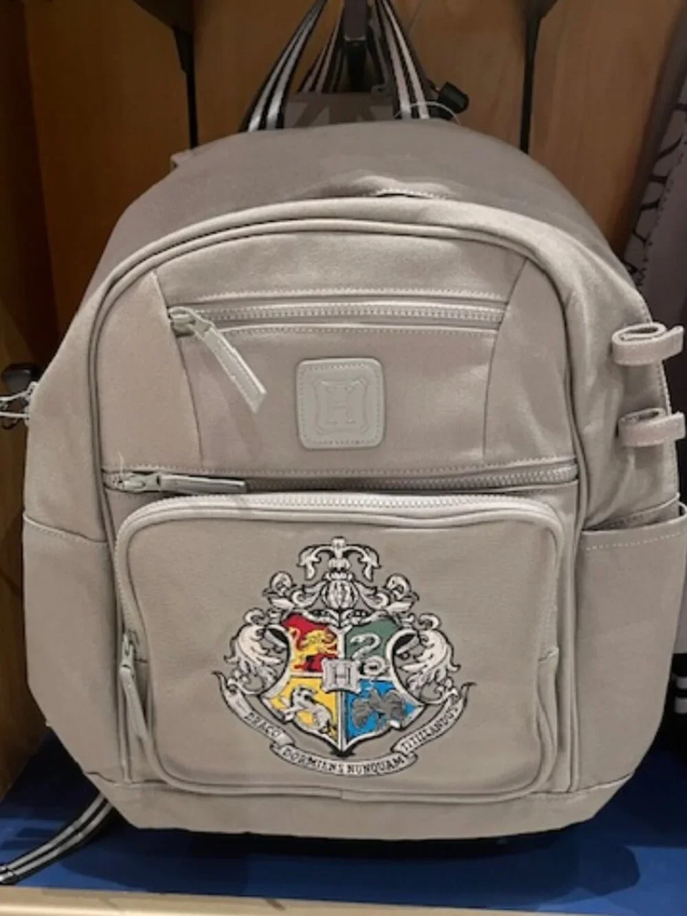 Hogwarts Backpack